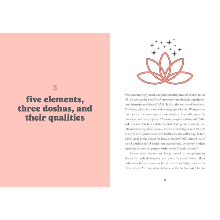 Hachette Book Group - Wholesale Medical Health - A Little Bit of Ayurveda: An Introduction7