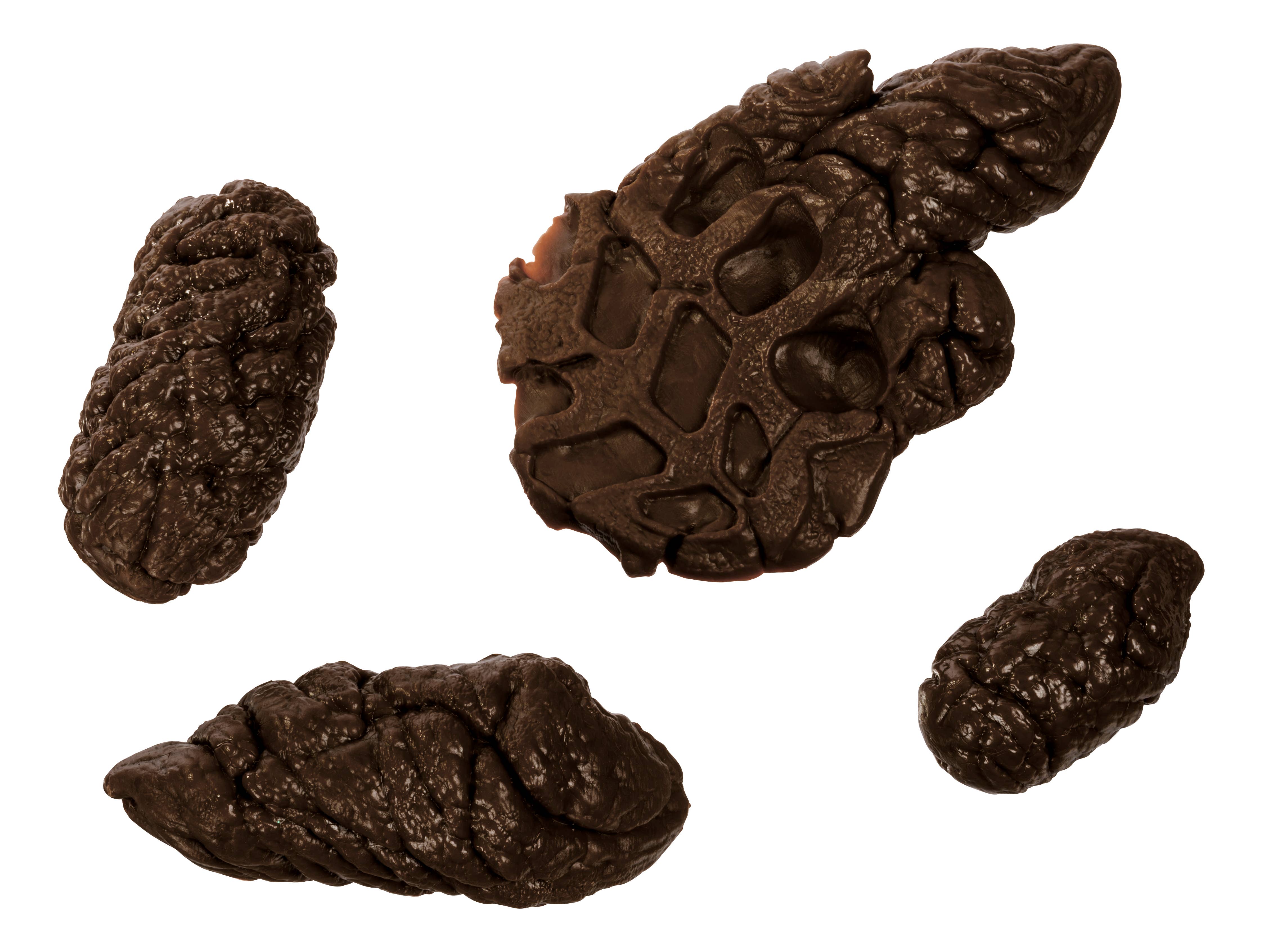 Toysmith - Wholesale Prank/Gag Gift - Prank U! Fake Doggo Doo Doo, Looks So Real - 4 Pieces1