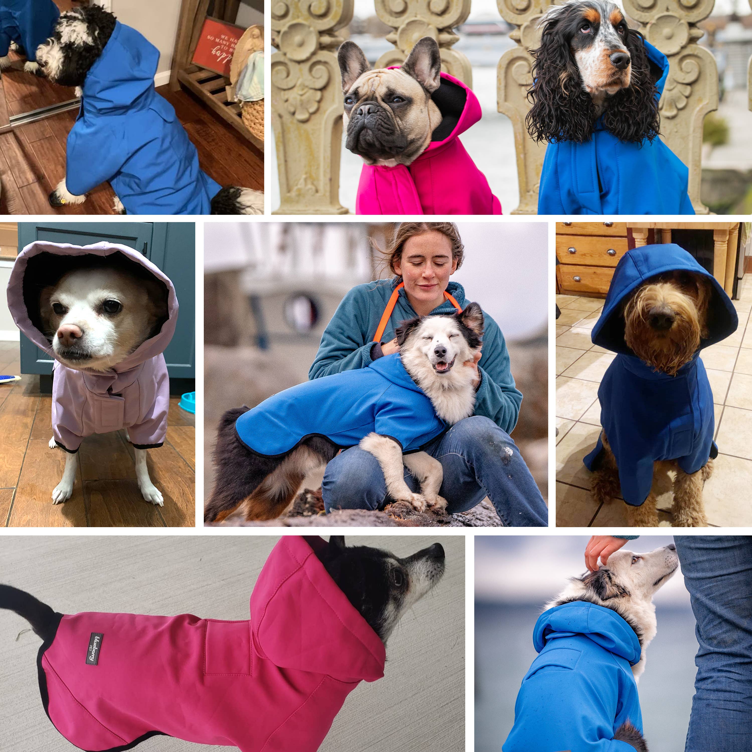 Blueberry Pet - Vente Imperméable – chien - Veste chaude imperméable 5000MM en softshell tissé sur mesure et teint.27