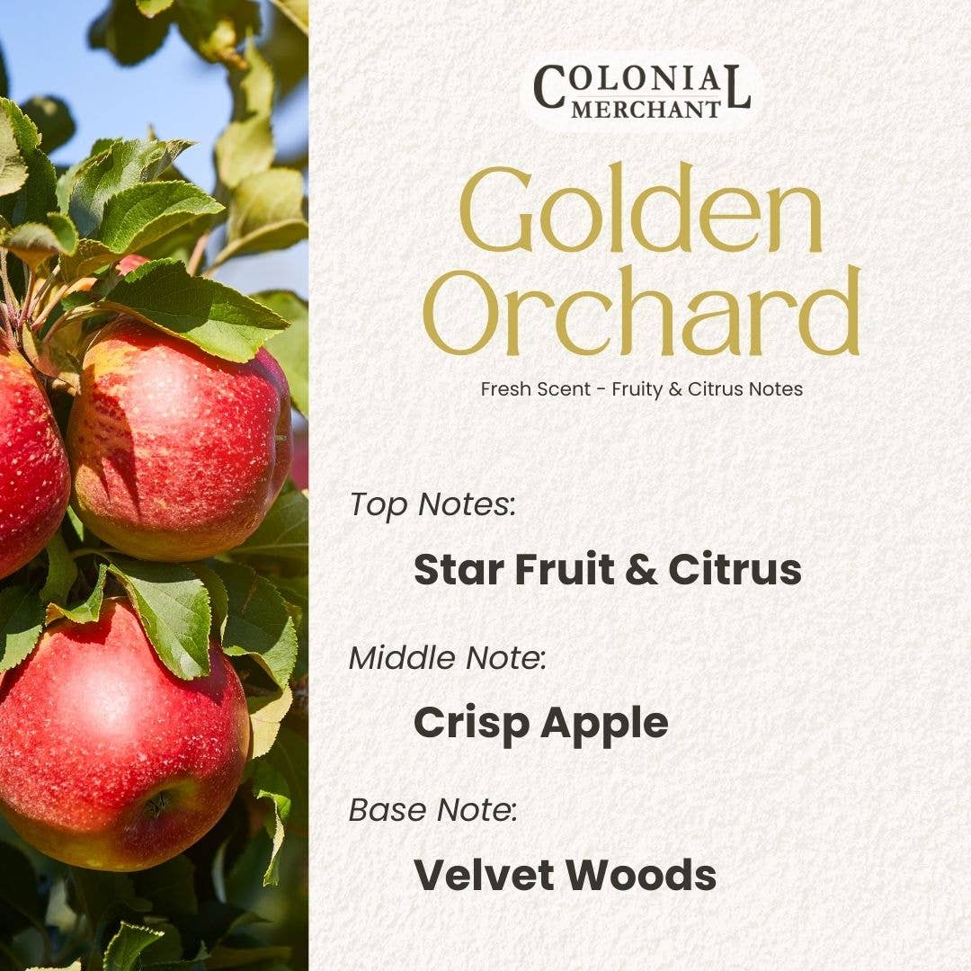 Colonial Merchant - Wholesale Laundry Detergent Powder/Pods - FRESH SCENT ASSORTMENT - 4 oz. Laundry Powder Trial Size6