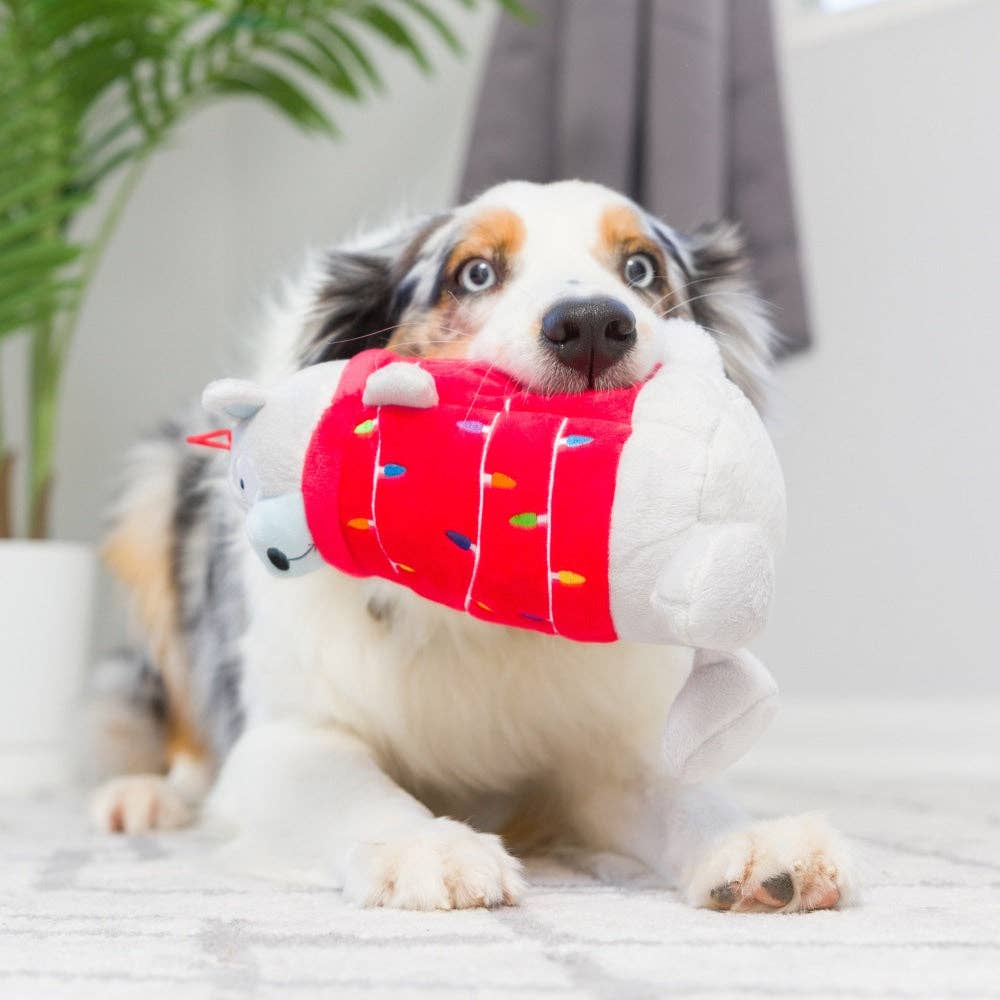 Huxley & Kent - Vente Peluche – chien - Jouet pour chien Deck The Bear2