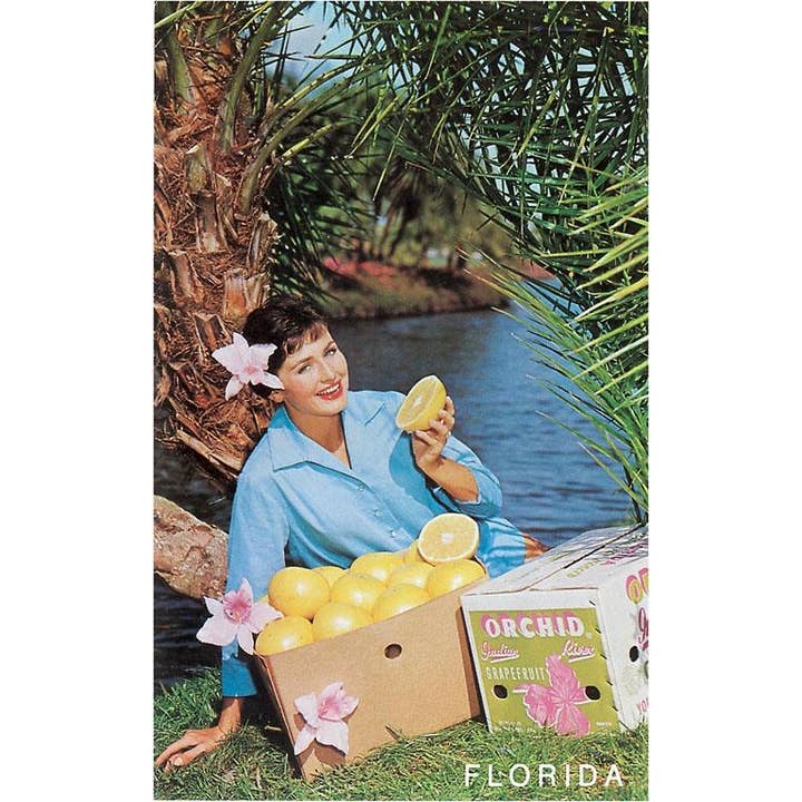 Magnete FL-981 Donna con Pompelmo, Florida per la vendita all'ingrosso da parte di Found Image Press