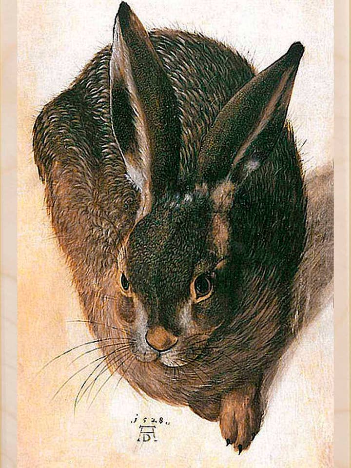 Dürer Hare - Eco-friendly cards & magnets for wholesale by THE WOODEN POSTCARD COMPANY