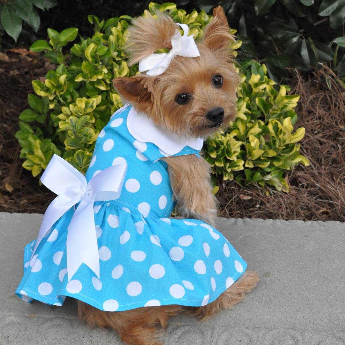 Doggie Design - Wholesale Pet Dress - Dog - Blue Polka Dot Dog Dress w/ Matching Leash4