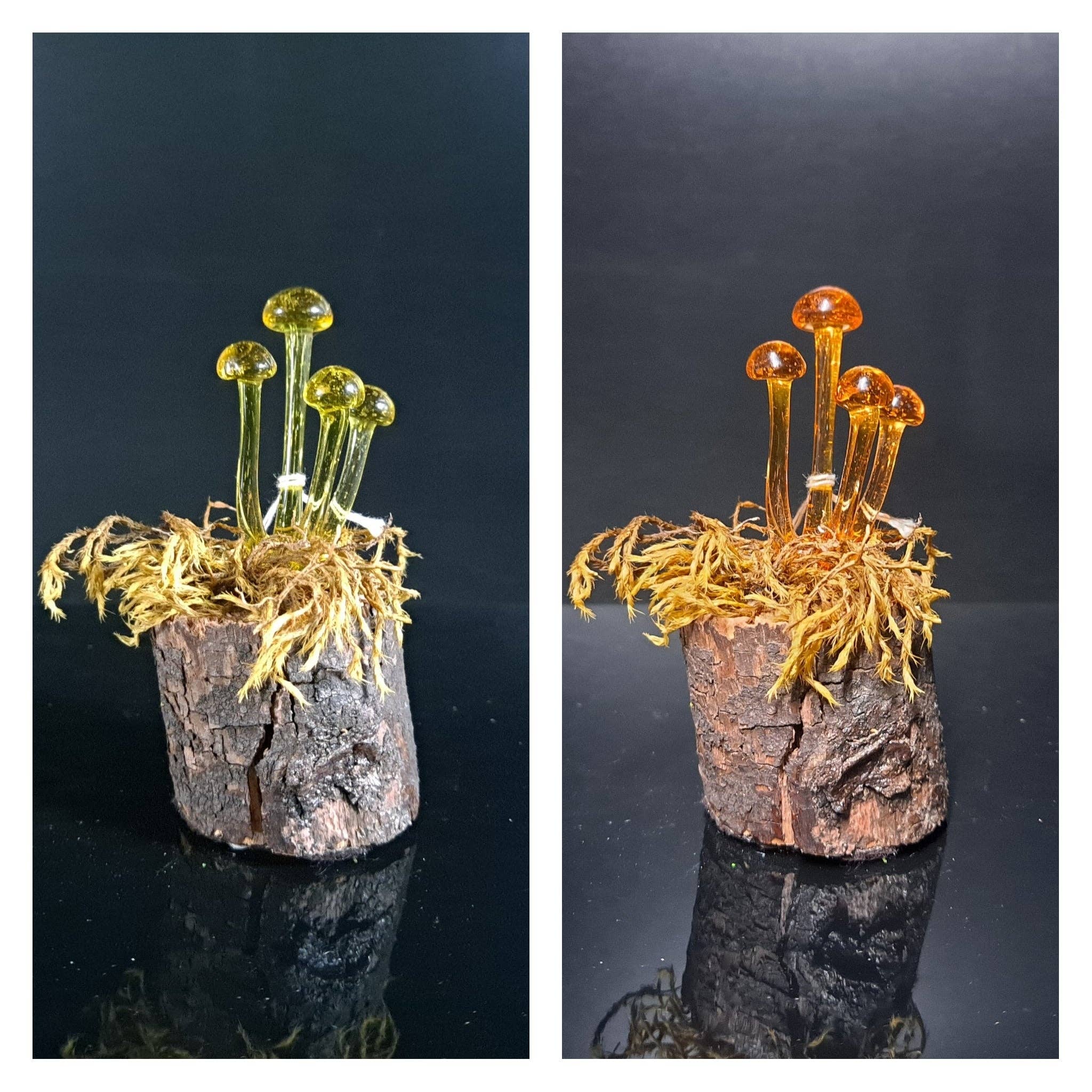 Sunshine Glass Gifts - Wholesale Sculpture - Mushroom Sculpture, Color Changing Mushroom Collection3