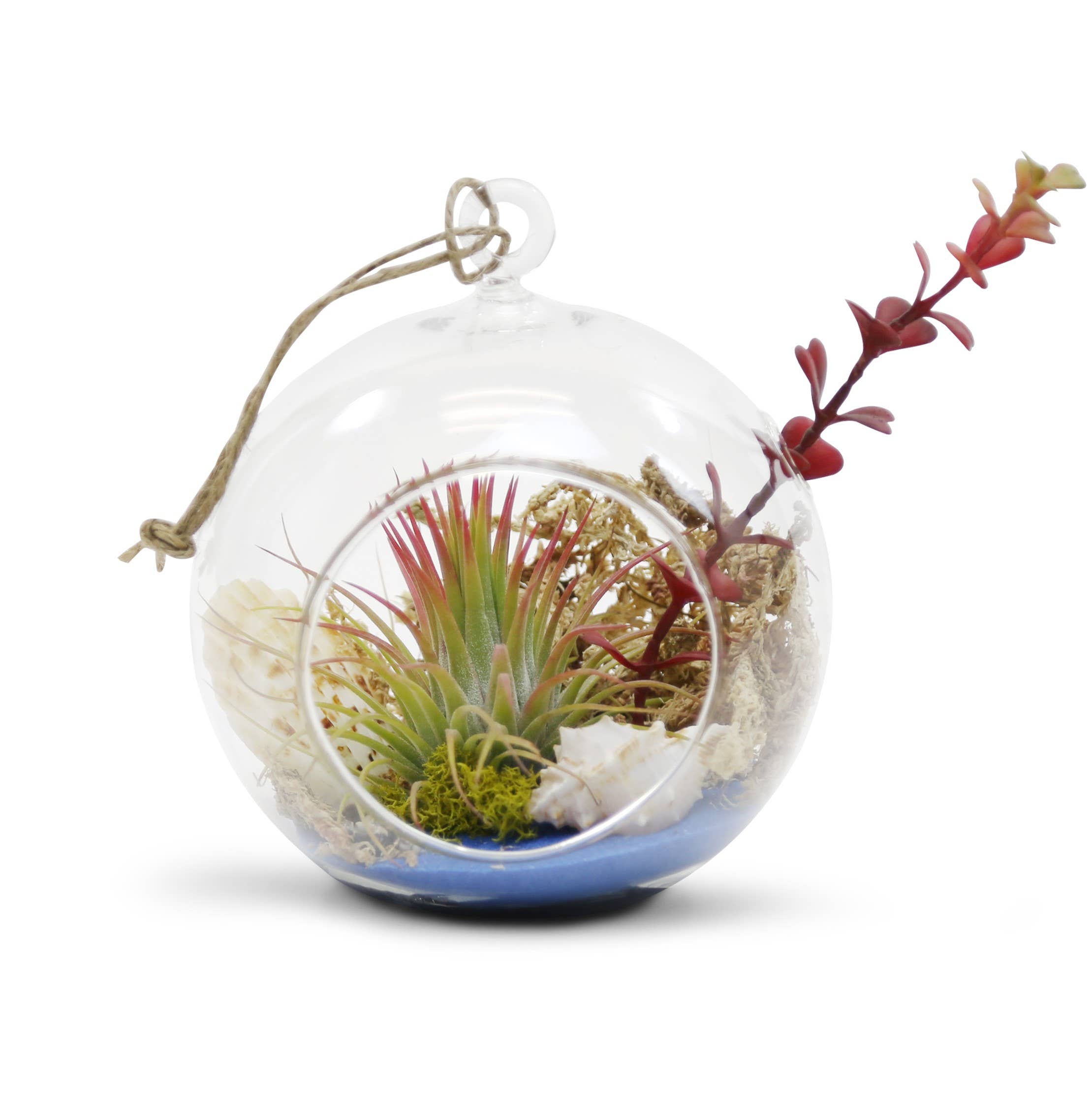 WGV International - Wholesale Candle Holder - WGV Clear Hanging Glass Terrarium / Candle Holder - 6"H2