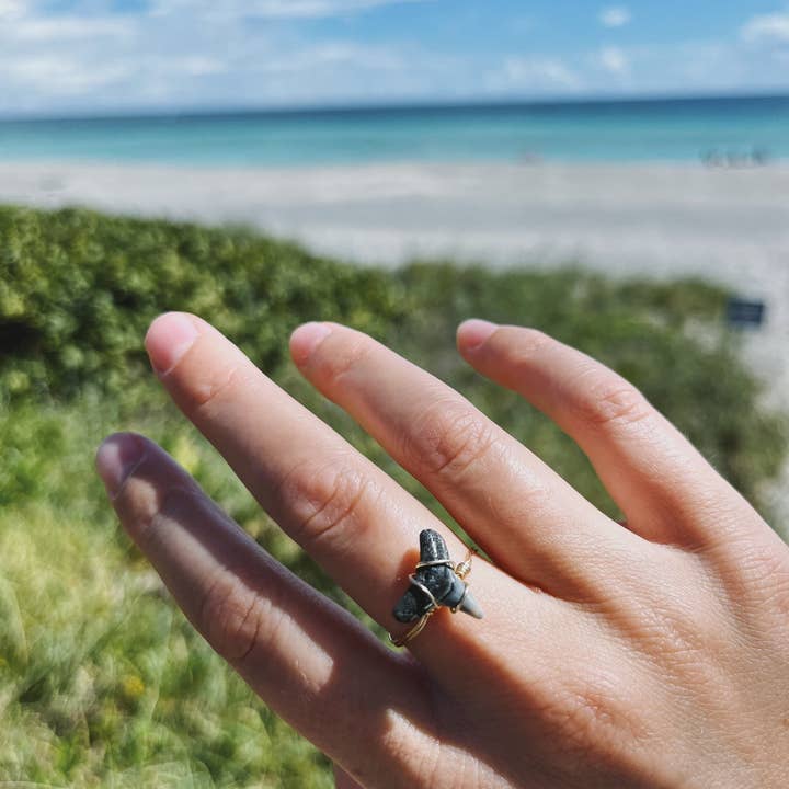 Seastainably Made – Engroshandel Statementring – Shark Tooth Wire Indpakket Ring1