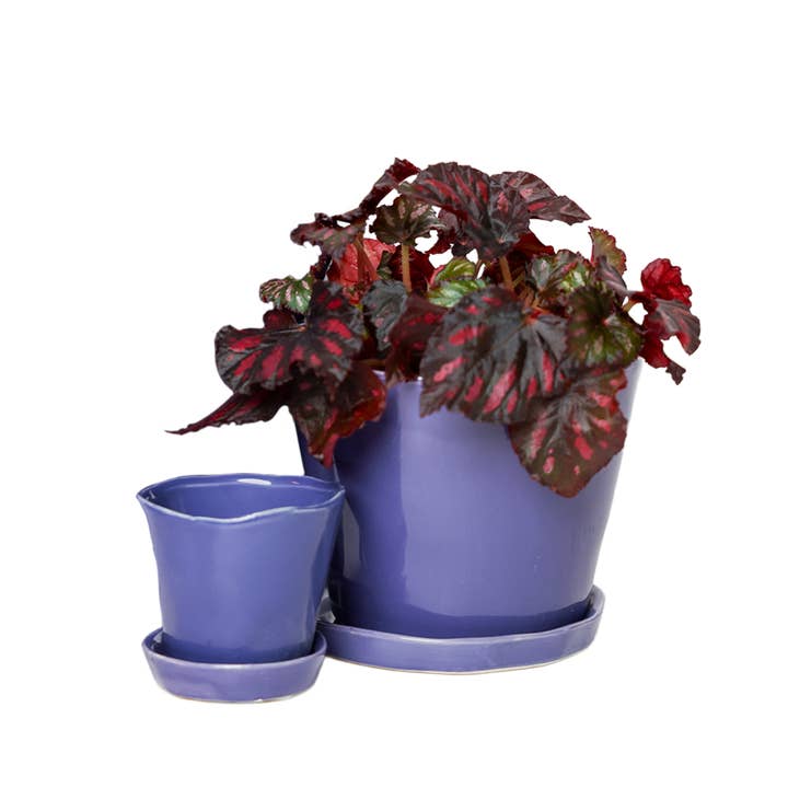 Chive - Wholesale Plant Pot - Tika Ceramic Pots With Saucer And Drainage Hole - 3"33