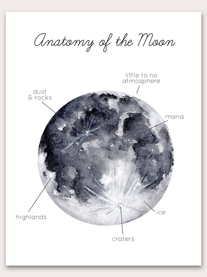 Månens anatomi Kunsttryk for engroshandel hos Stephanie Hathaway Designs