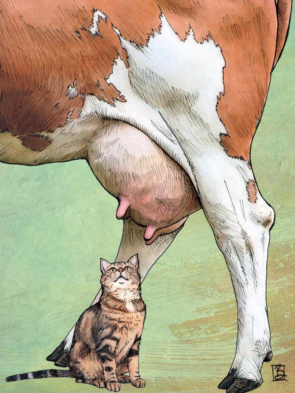 Bag Lunch #5 - vertical for wholesale by Shawn Braley Illustration