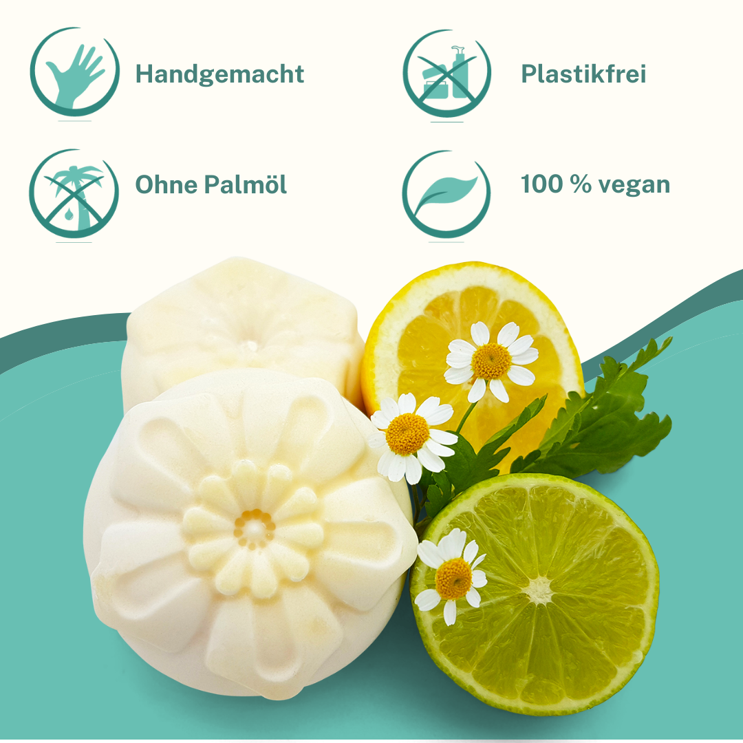 Kleine Auszeit Manufaktur – Großhandel Feste Seife – PUTZ UND WASCHSEIFE2