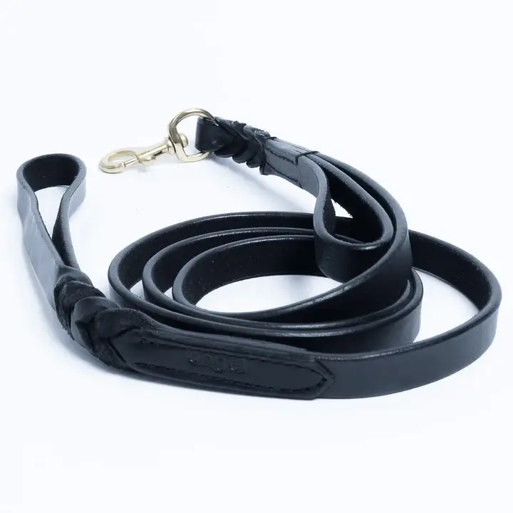 Angel Pet Supplies Inc. - Wholesale Pet Leash - Dog - Leather Braided Leash DBL Handle by ANGEL™3