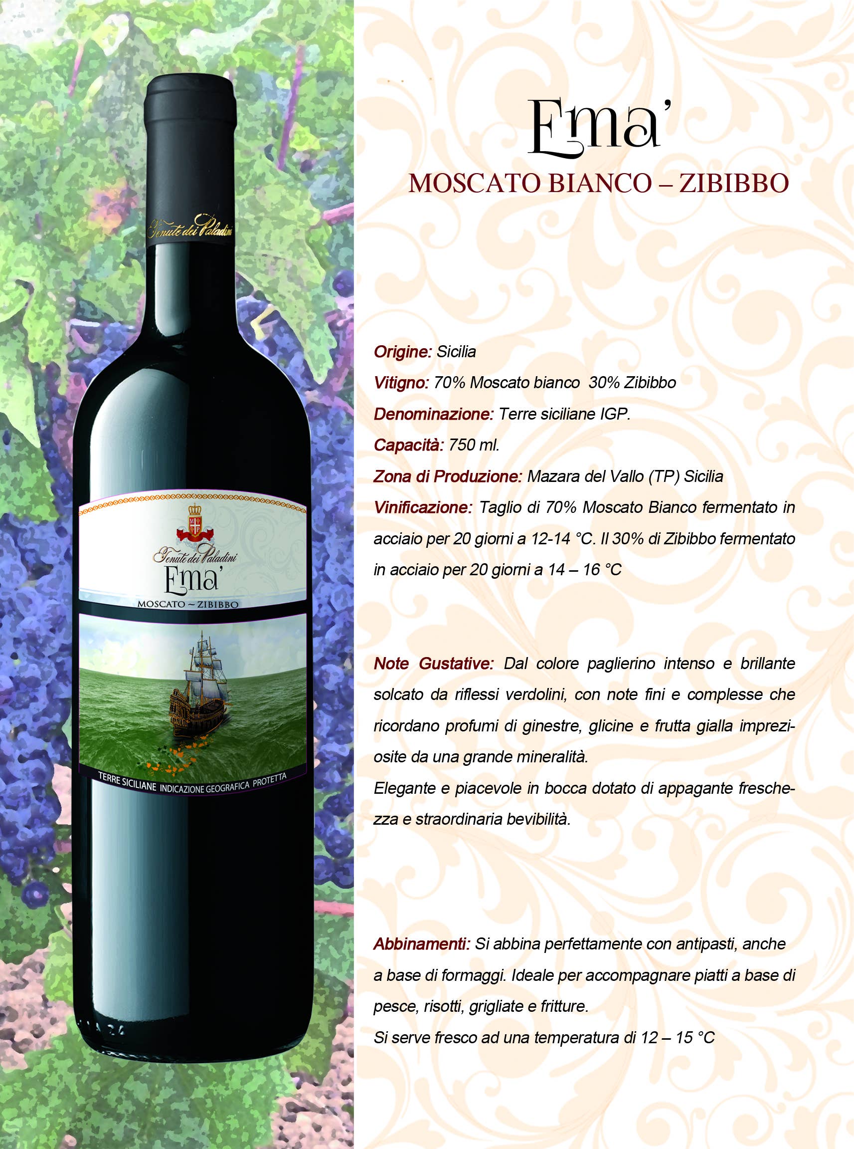 Tenute dei Paladini - Wholesale White Wine - Emà Moscato Bianco-Zibibbo1