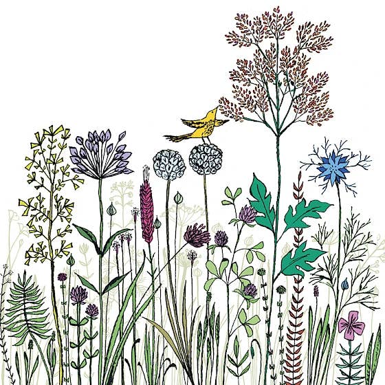 Little Yellow Bird for wholesale by Paper Bird Publishing