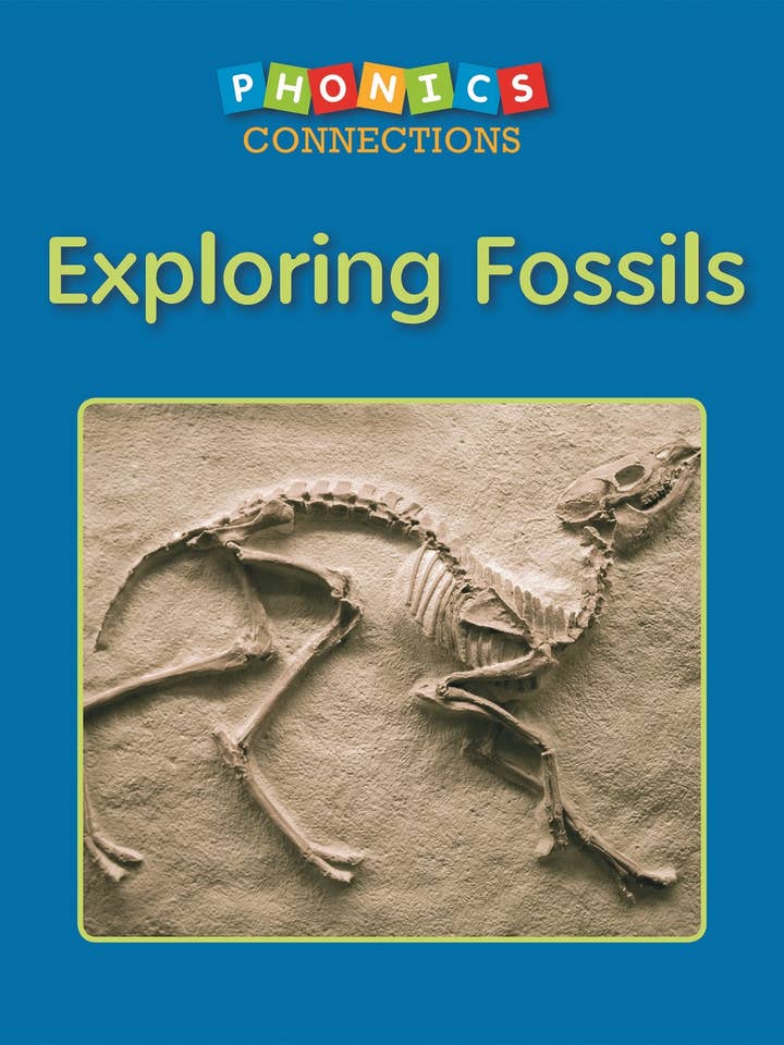 Exploring Fossils for wholesale by Capstone