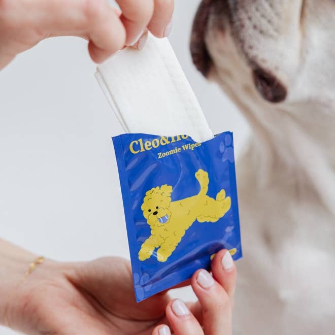 Zoomie Wipes for wholesale by Cleo&Hooman