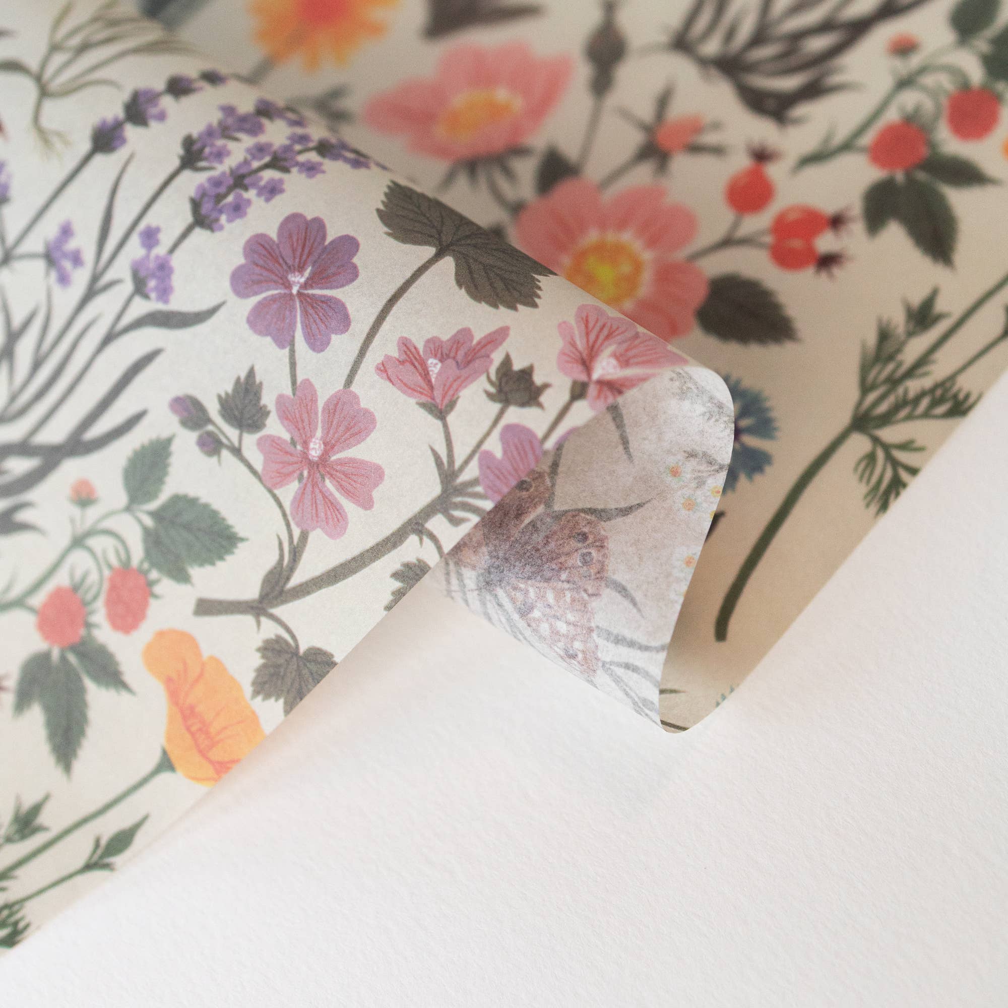 Botanica Paper Co. – Großhandel Seidenpapier – BOTANIST | Seidenpapier (10 Blatt)2