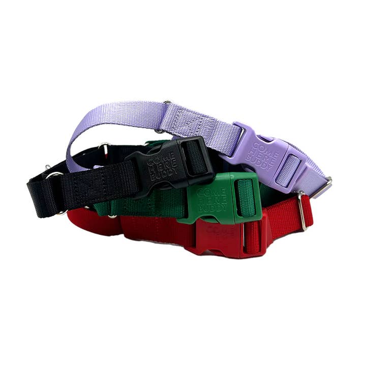 Dog Collar - Martingale for wholesale by Come Here Buddy
