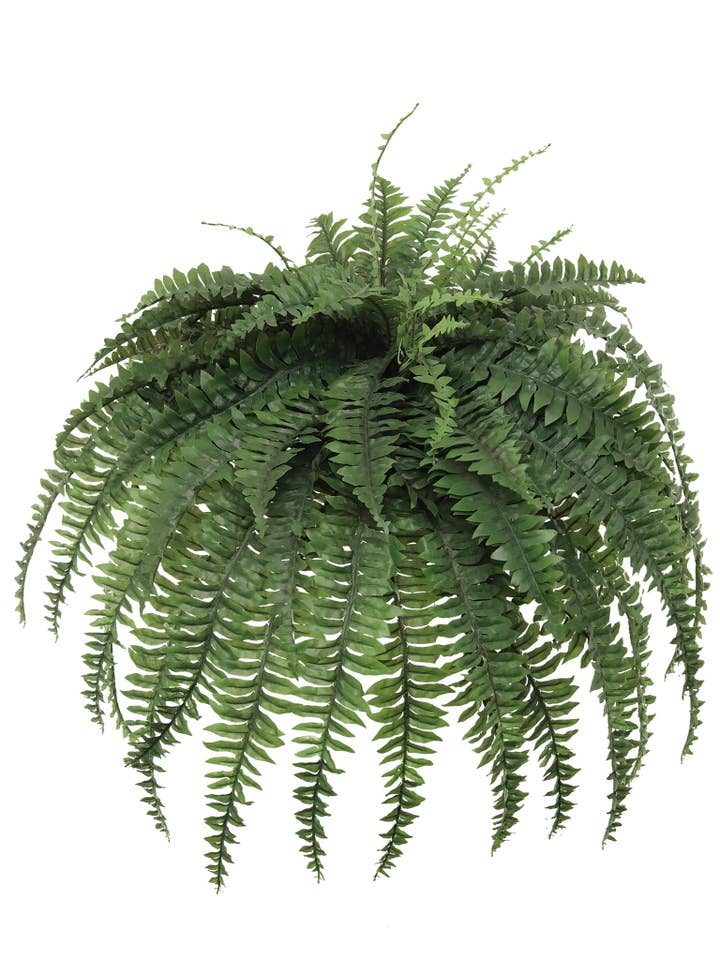 Boston Fern Plant With 88 Realistic Silk Fronds, 48" Wide for wholesale by Larksilk
