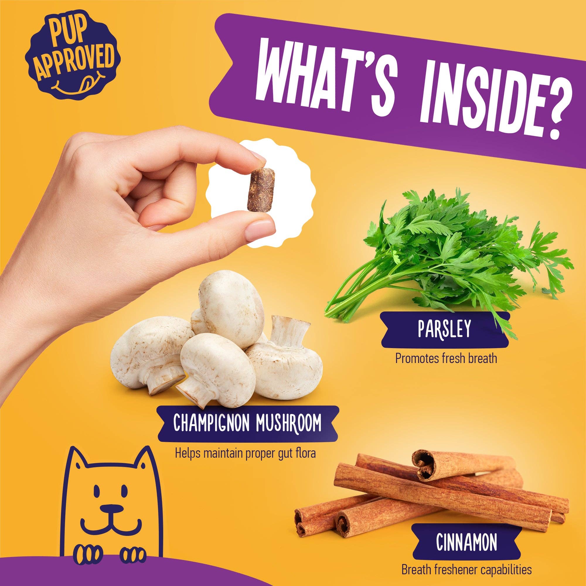 Dogline - Vente Compléments alimentaires – chien - Breath Aid à la cannelle pour chiens en pot de 9 oz (120 unités)6