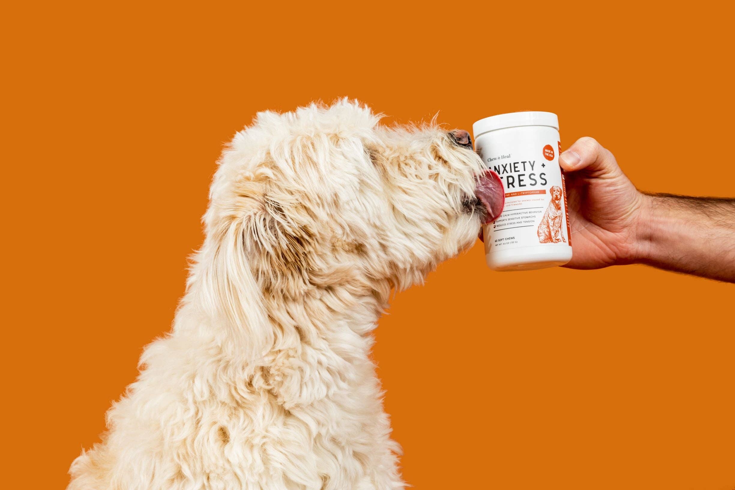 Chew + Heal - Wholesale Pet Supplement - Dog - Calming Anxiety & Stress4