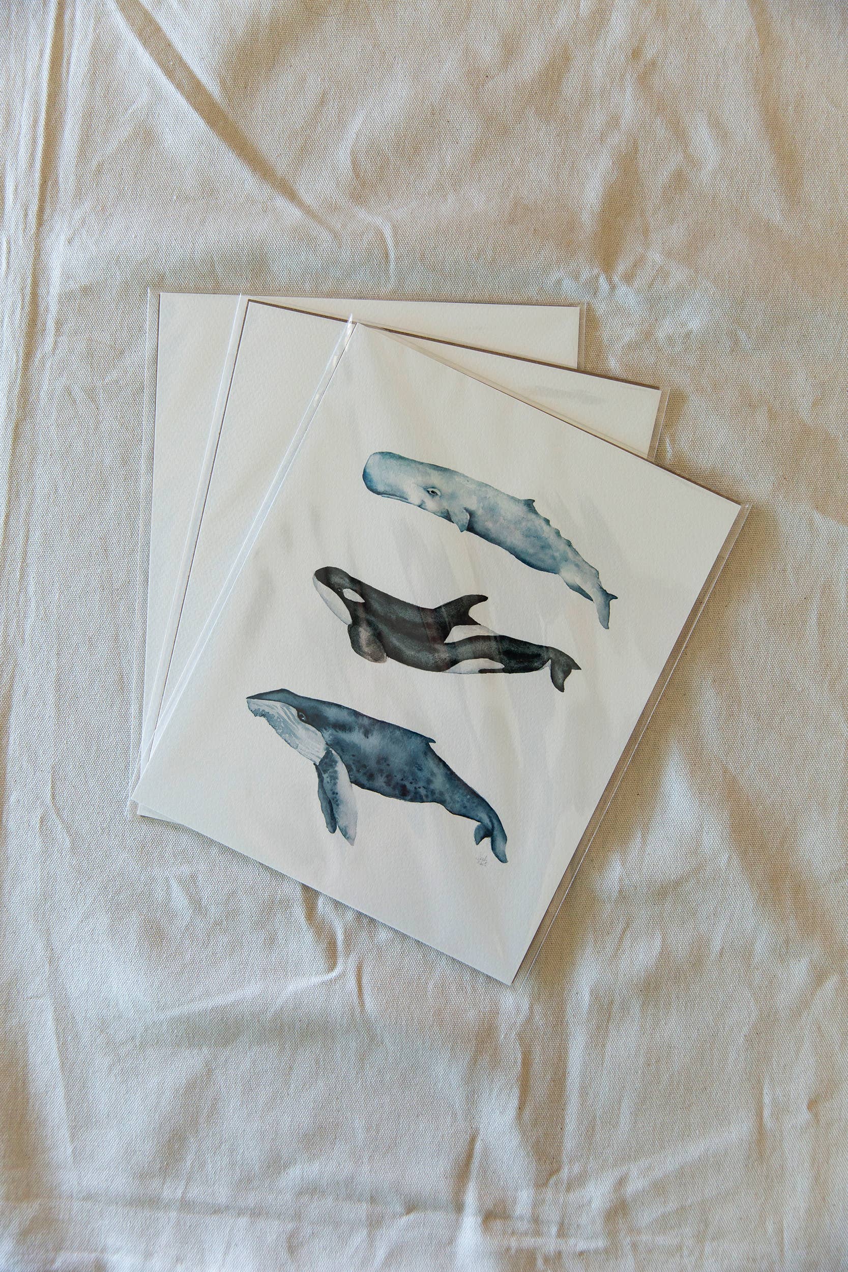 Sarah Jane Studio Art - Wholesale Art Print - Whales Watercolor Print3