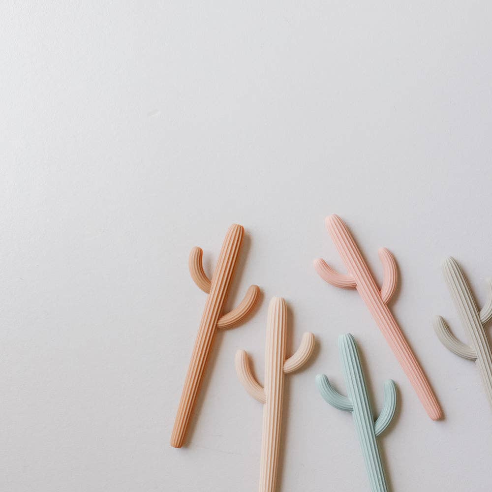 Ed & Co. - Vente Anneau de dentition sans clip – bébé - Anneau de dentition Saguaro Cactus6