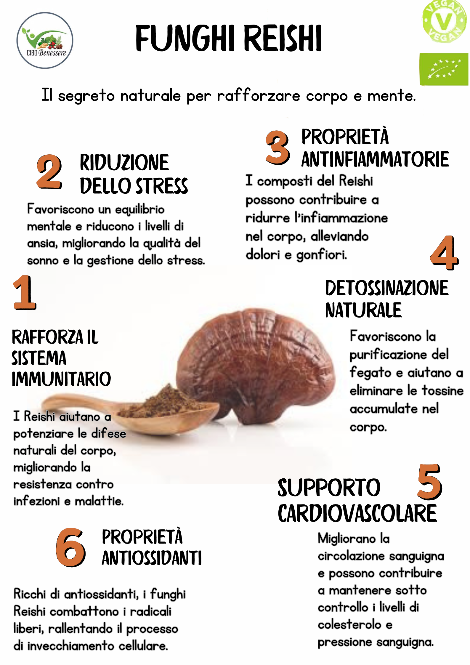 Cibobenessere - Wholesale Oral Supplement/Vitamin - Organic REISHI Mushrooms - Vegetable Capsules1