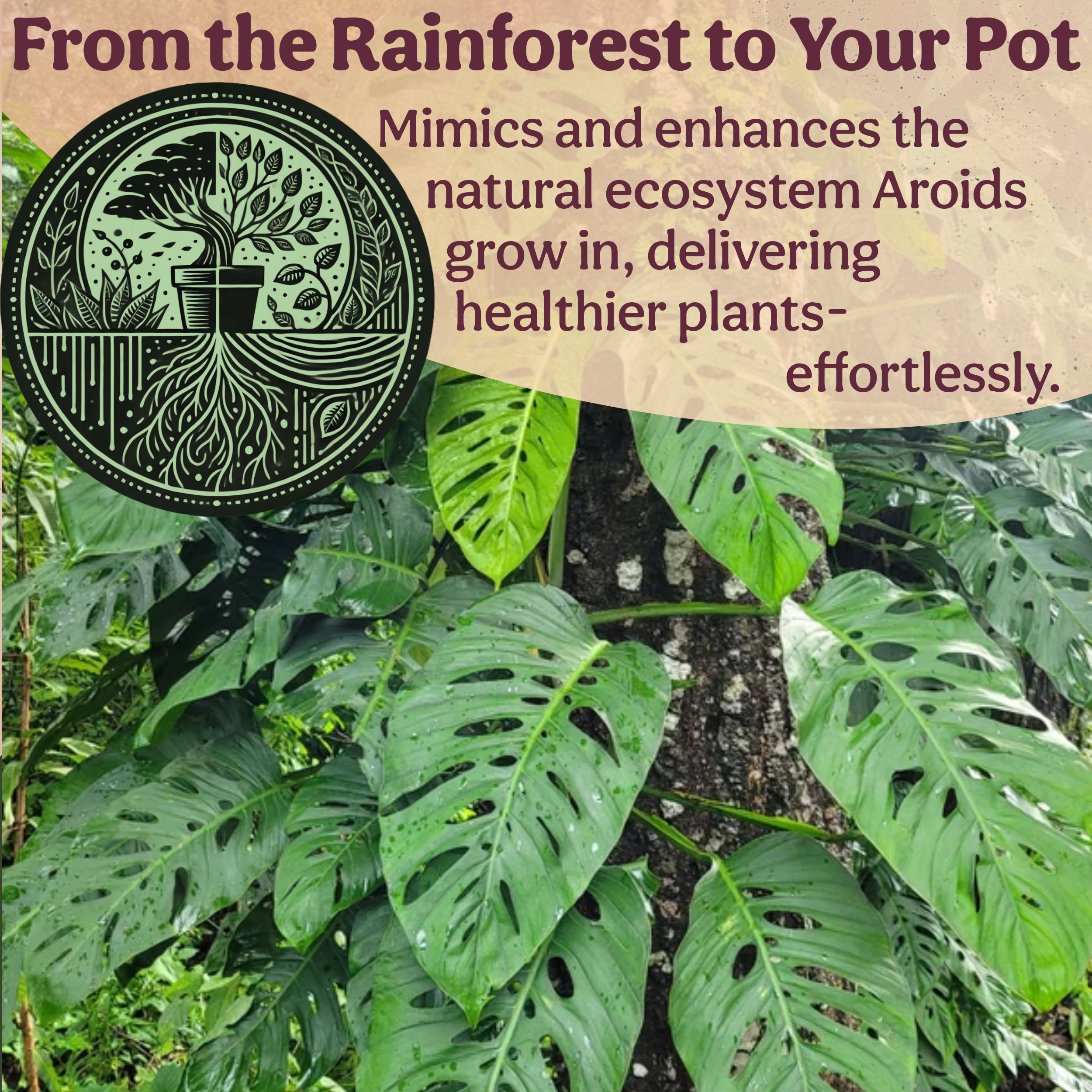 Grow Queen - Wholesale Planting/Potting Soil - Craft Aroid Potting Mix6