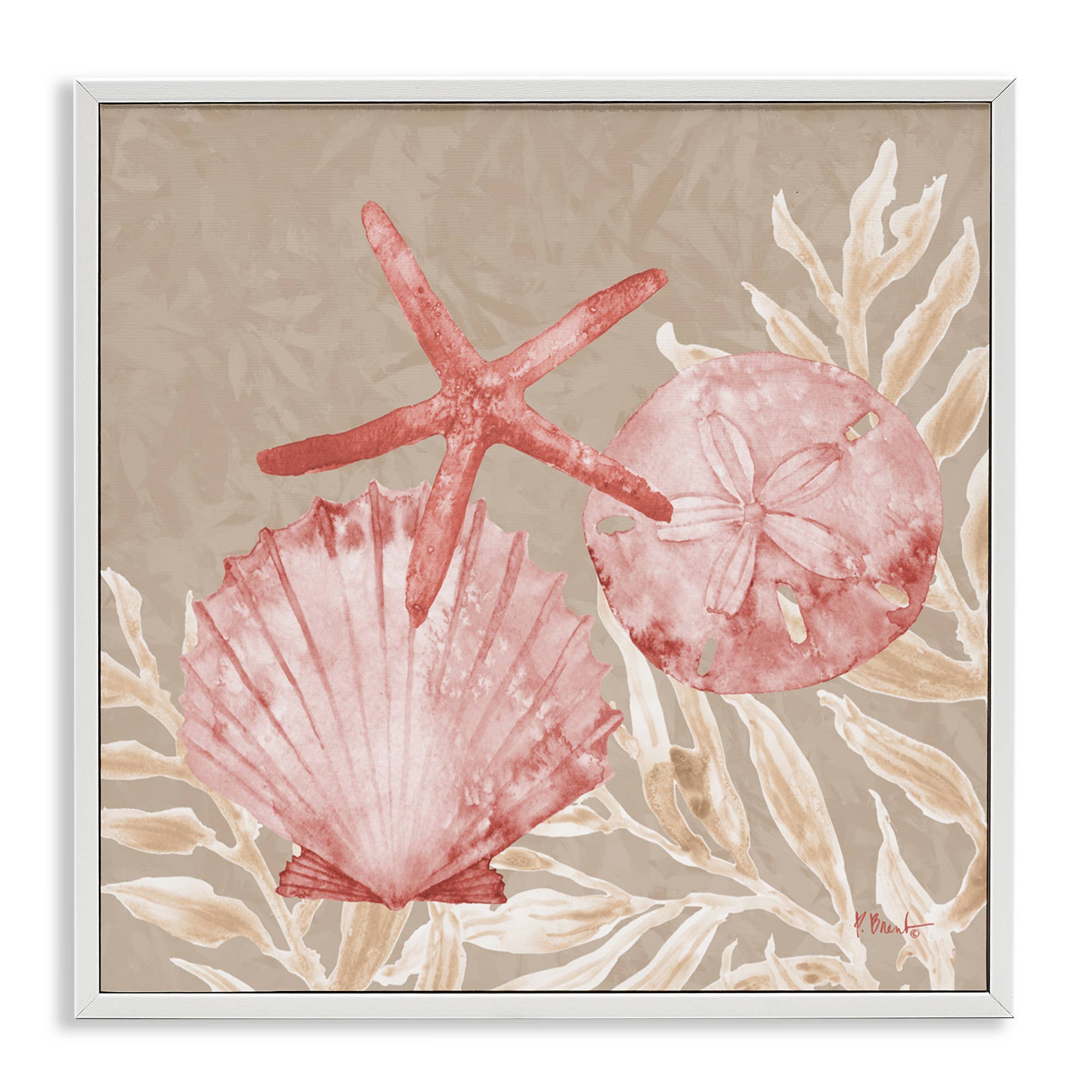 Stupell Industries - Vendita all'ingrosso Cartello da parete - Conchiglie di Tampico e Stelle Marine - Arte da Parete Incorniciata21