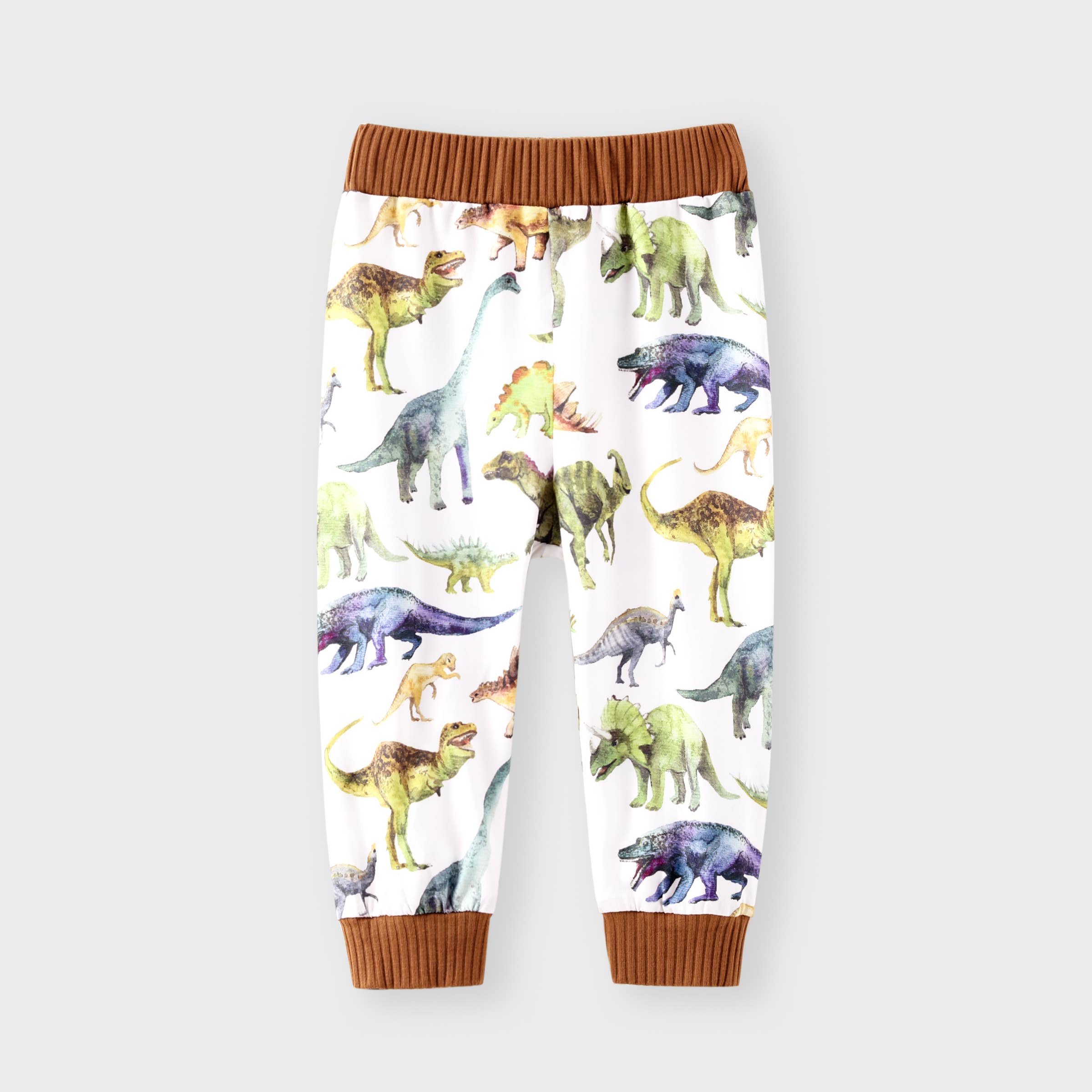 PatPat - Wholesale Top & Pant Set - Baby - 2pcs Baby Boy Solid Cotton Pullover and Dinosaur Pants Set9