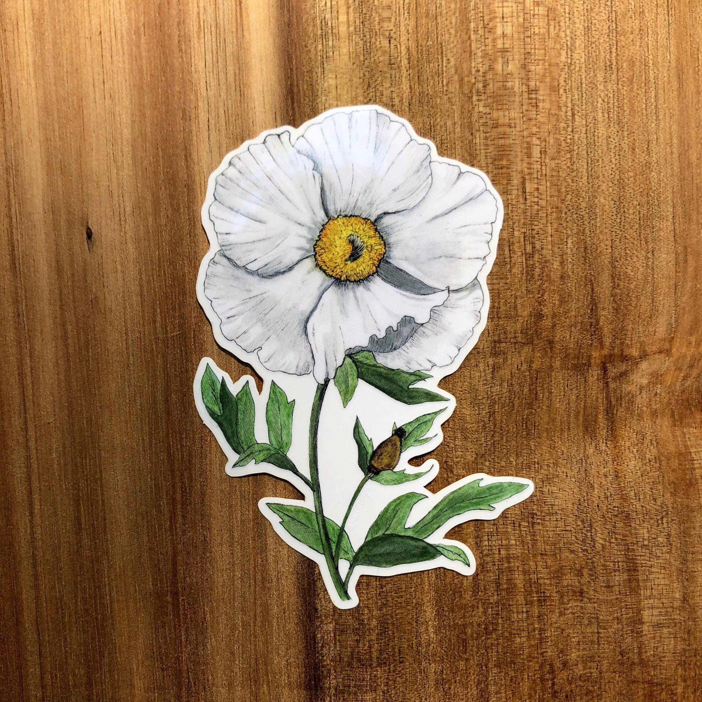 YubaCat Designs - Wholesale Sticker - Matilija Poppy sticker