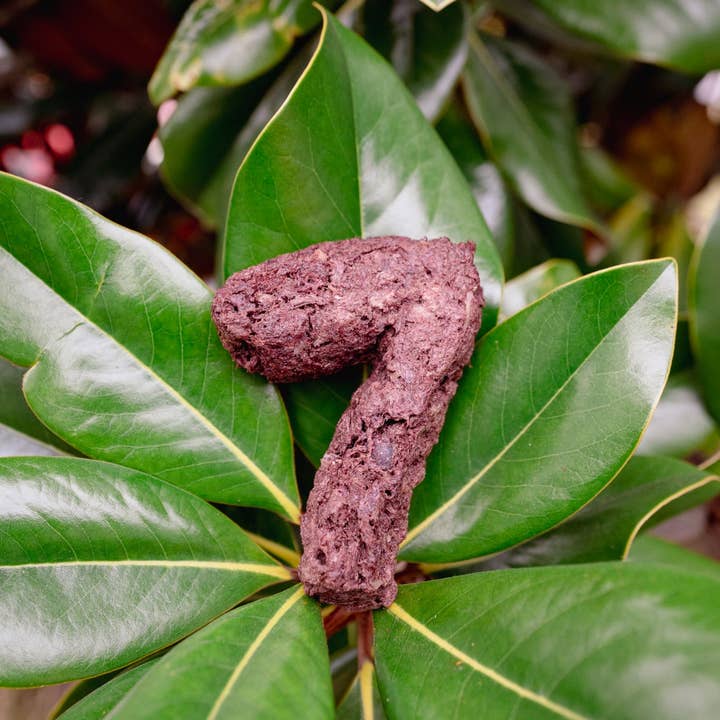 Love Liparu - Wholesale Pet Treats - Dog - MEAT NUMBER | Freeze-Dried Dog + Cat Treat7