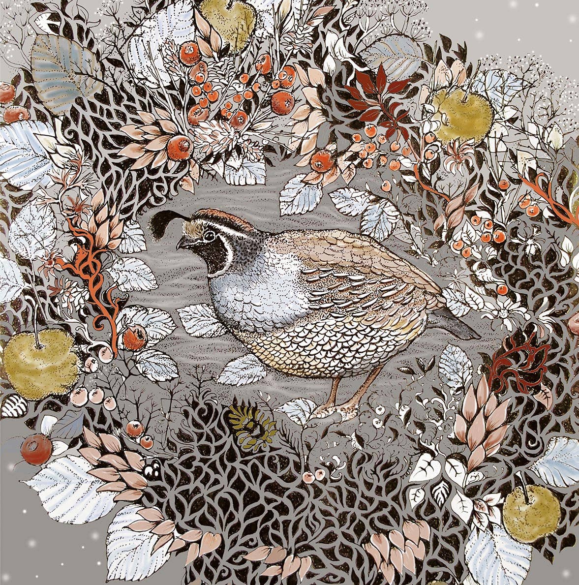 Fay's Studio - Wholesale Everyday Greeting Card - Quail Greeting Card1