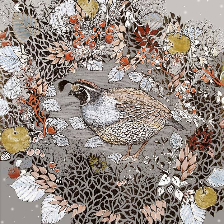 Fay's Studio - Wholesale Everyday greeting card - Quail Greeting Card1