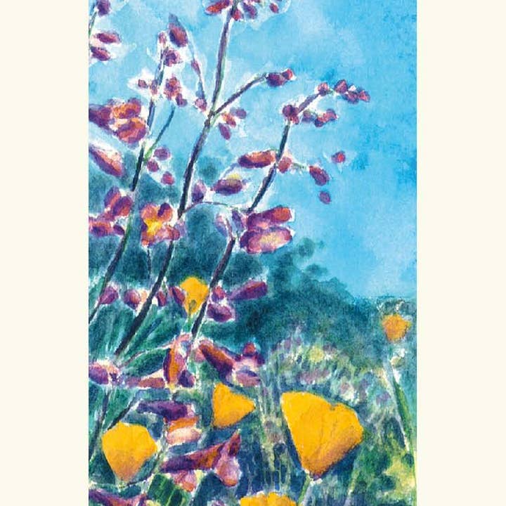 Pentemons et coquelicots pour la vente par Oki Designs