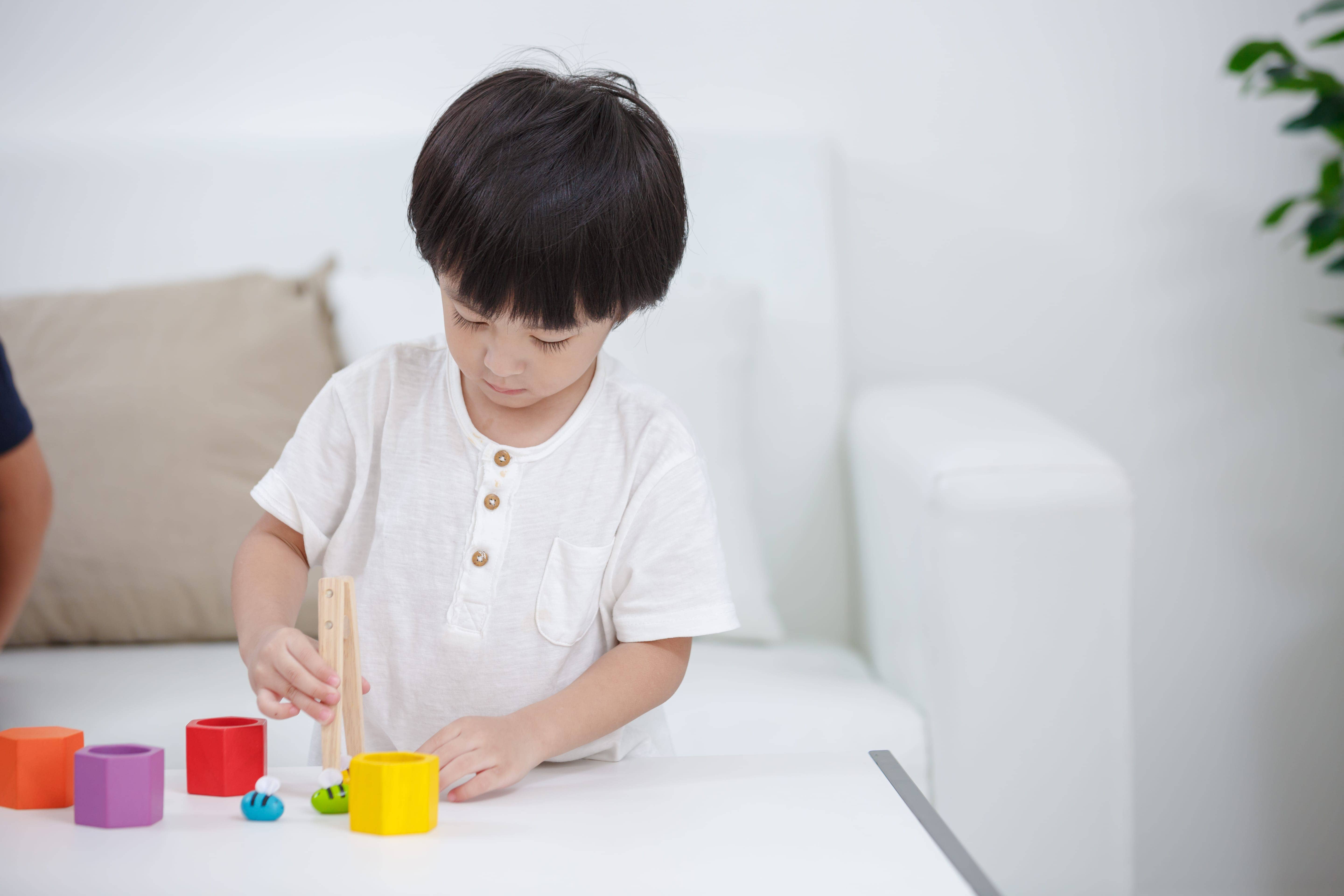 PlanToys - Wholesale Brain Game - Kids - Beehives3