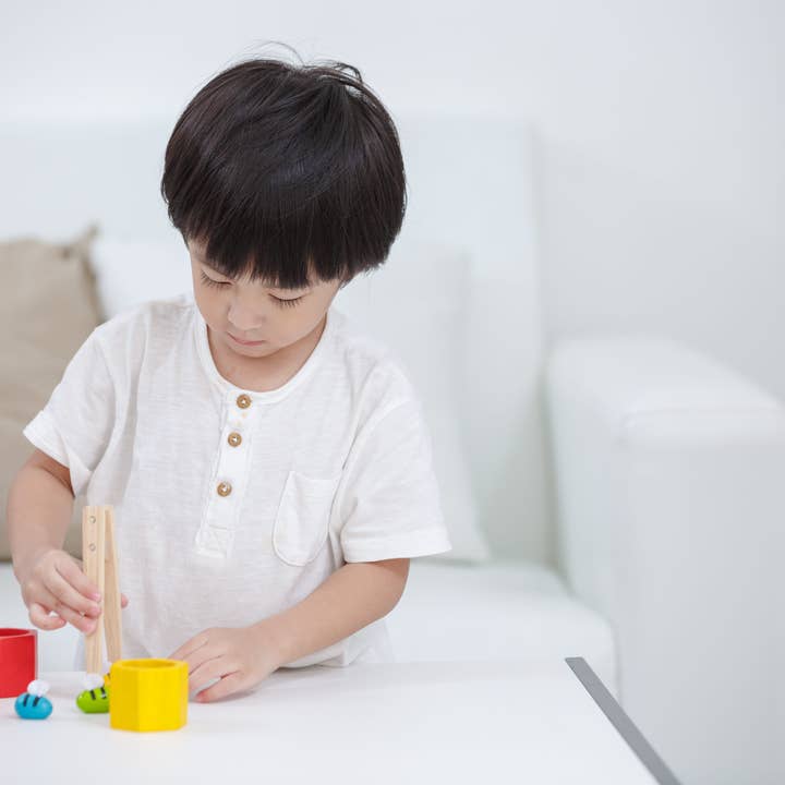 PlanToys - Wholesale Brain Game - Kids - Beehives3