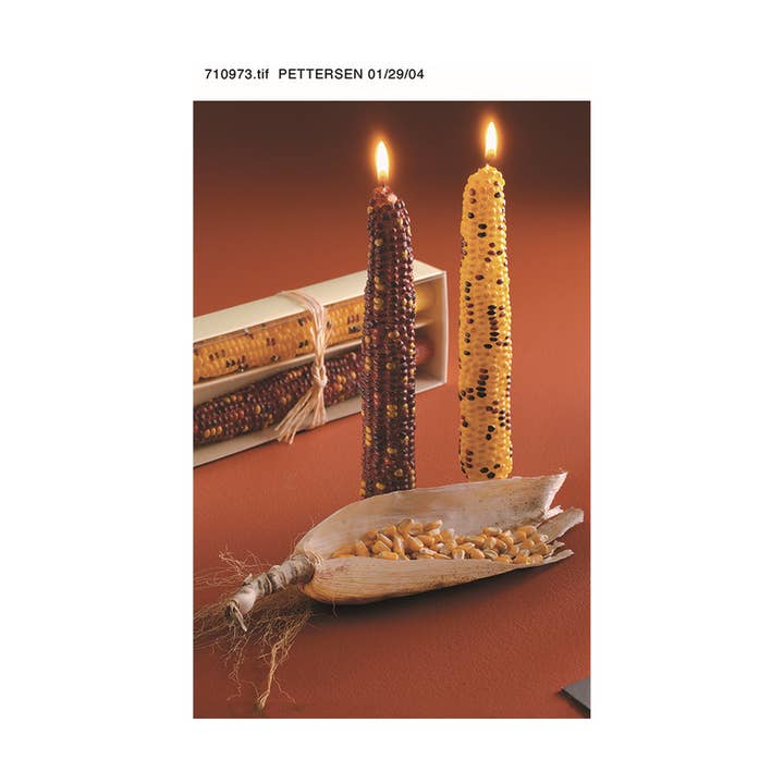 tag - Wholesale Tapered Candle/Candlestick - Harvest Corn Taper Candles Set of 2 Multi Wax Everyday