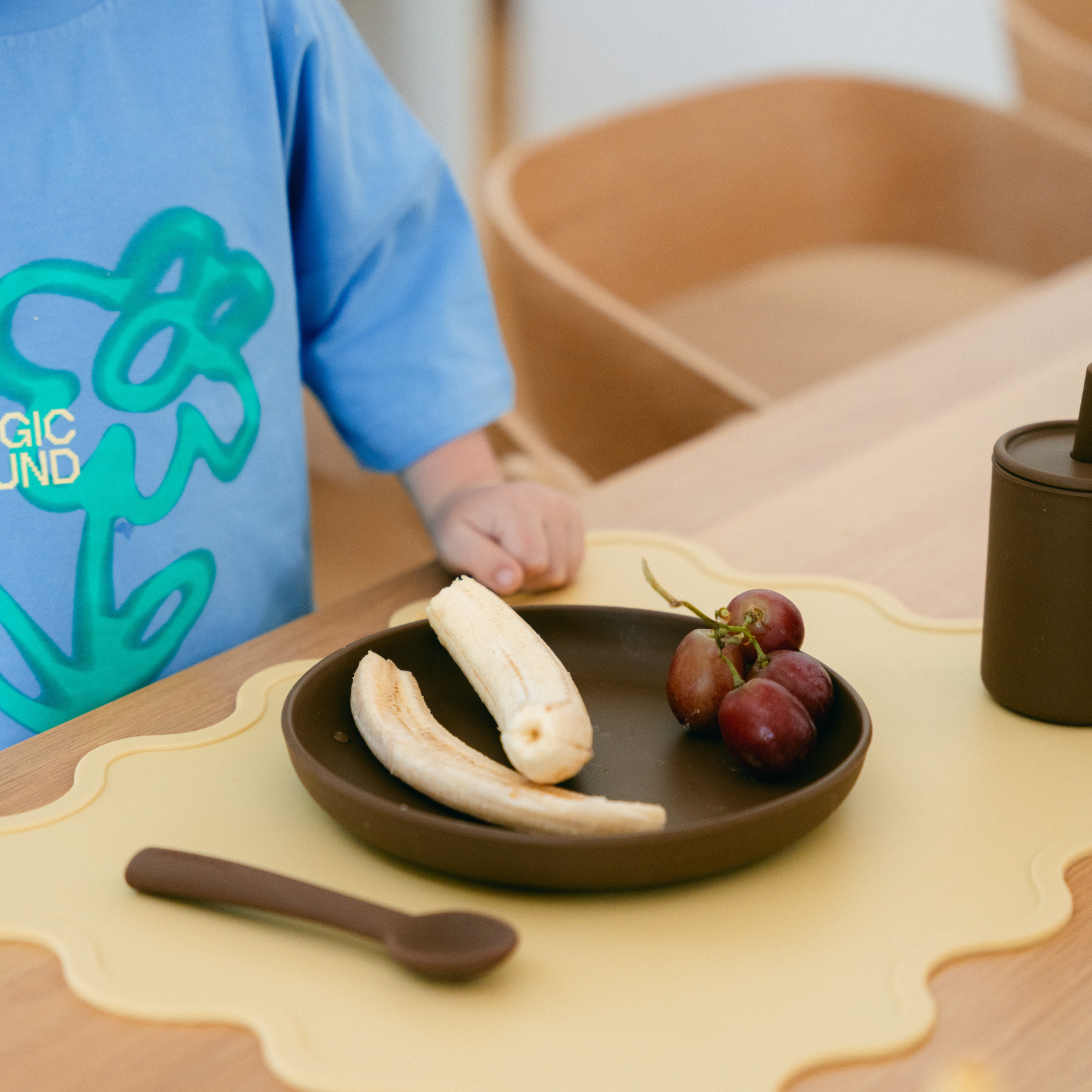 Rommer - Wholesale Dinner Plate - Kids & Baby - Plate6