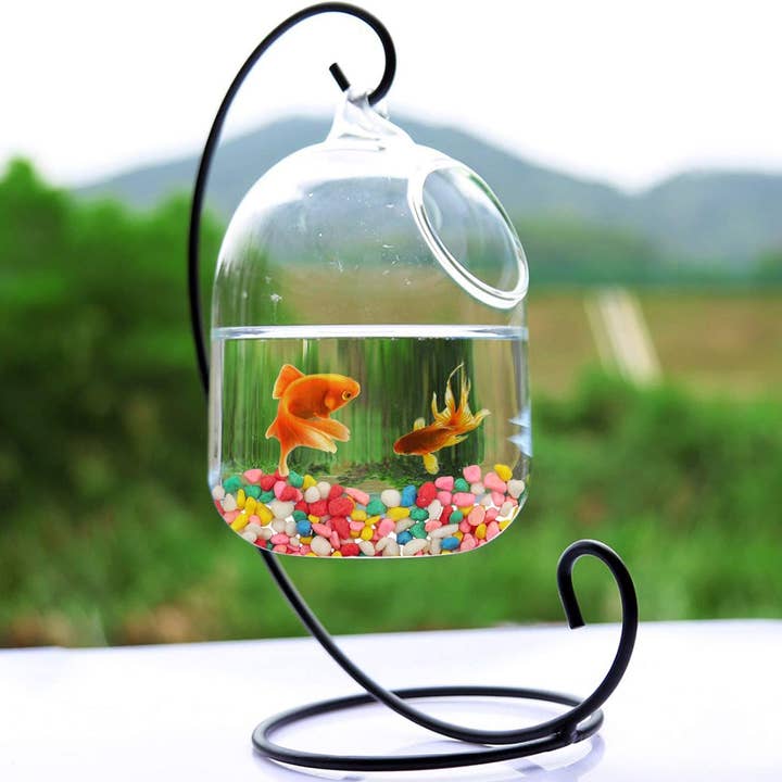 Tsyware - Wholesale Art Stones - 1 Pound Natural & Colorful River Rocks for Decor and Garden1