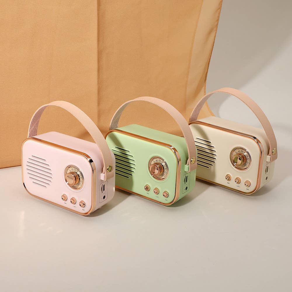 Sensibling Corp. – wholesale Speakers – Mini Retro Karaoke Machine Bluetooth Speaker with Microphone1