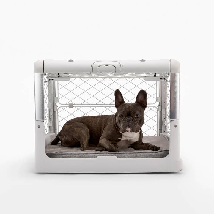Ash White Revol Collapsible Dog Crate for wholesale on Faire