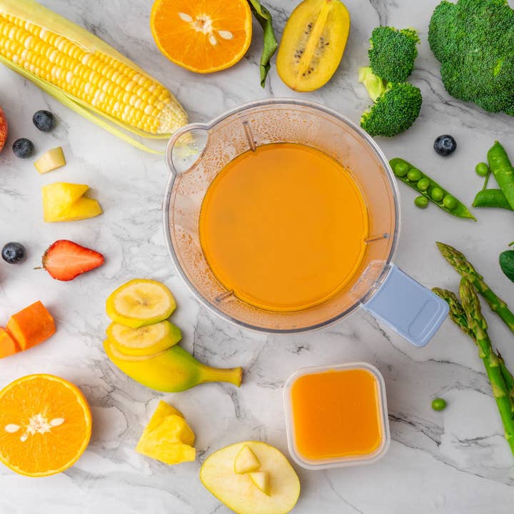 Purple BabyGrow Elite Baby Food Maker for wholesale on Faire6