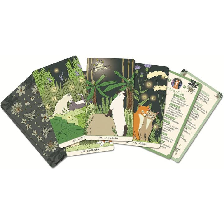 Cardshouse - Wholesale Tarot Cards - Les Oracles de la Sorcière Oracle cards French edition Grimaud Cartomancie