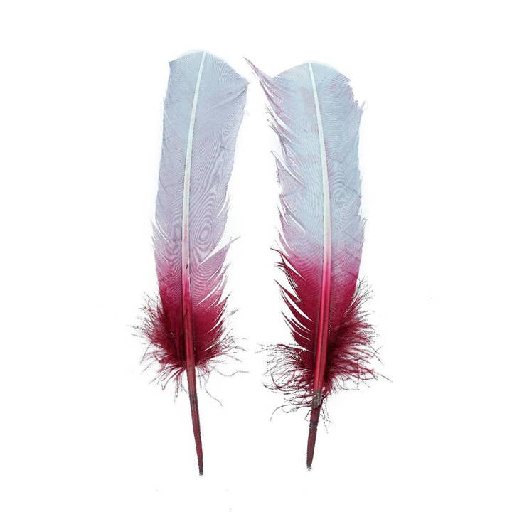 Ombré Turkey Quill Feathers 10-12” 2 pc- Burgundy - Silver for wholesale by Zucker Feather Products
