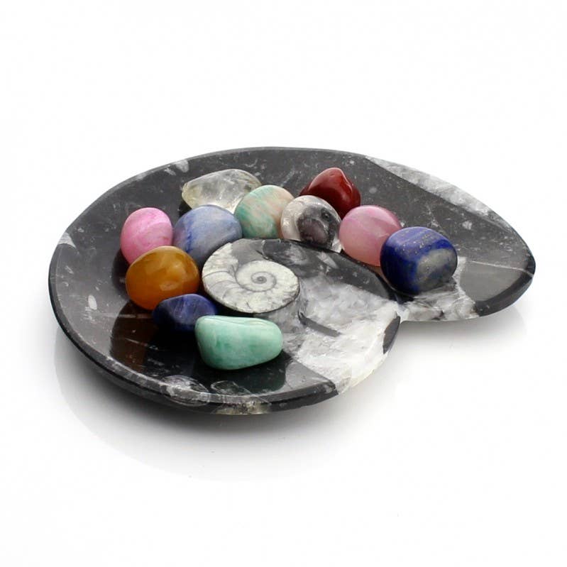 UniArt - Vente Objets de décoration - Assiettes décoratives avec ammonites et orthoceras authentiques1