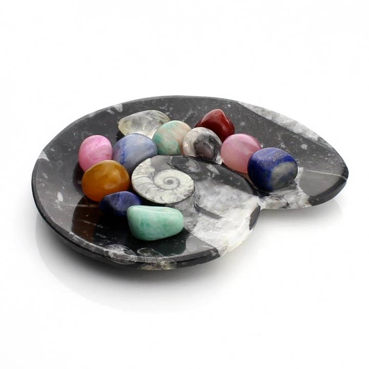 UniArt - Wholesale Ornament - Plates with ammonites and orthoceras10