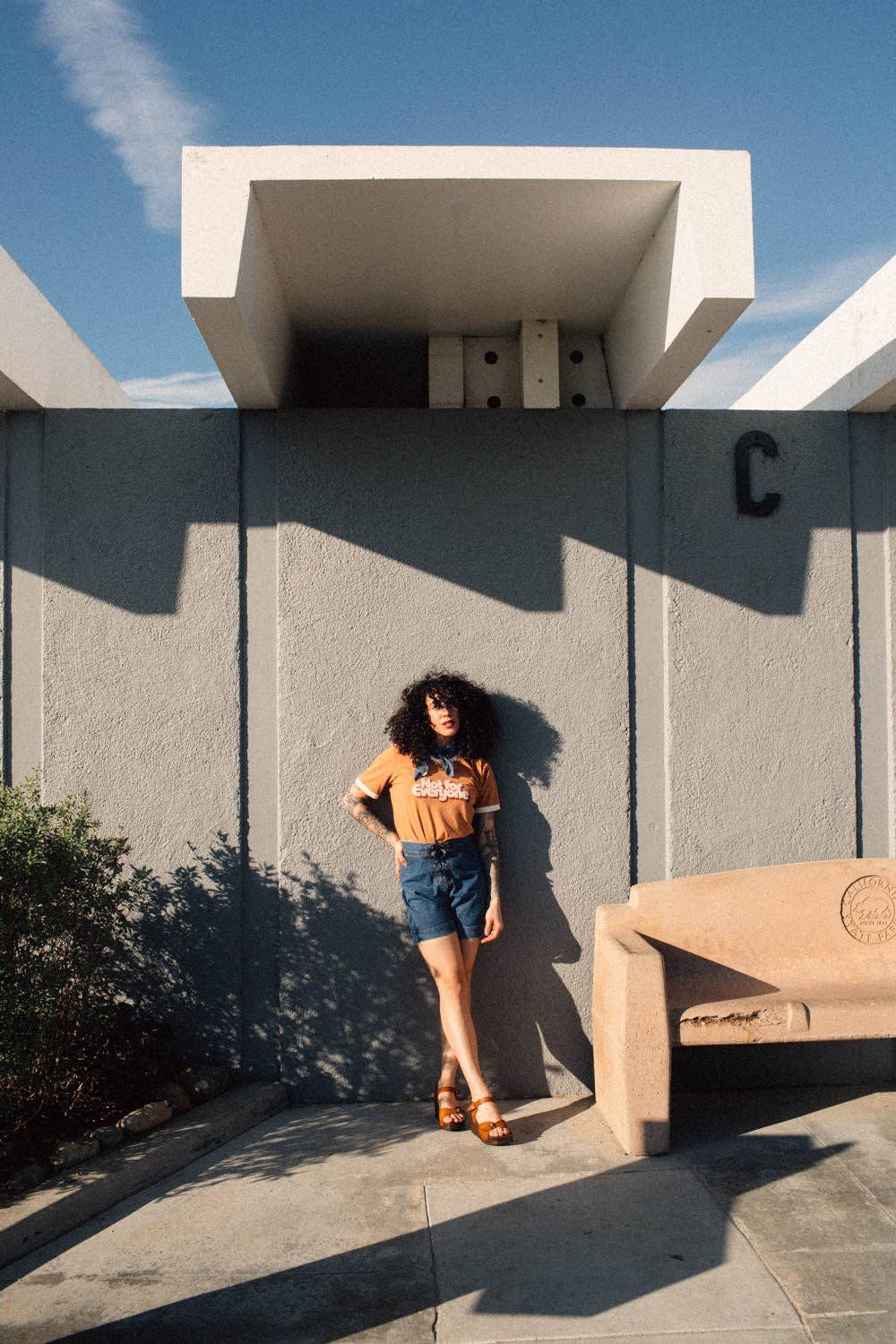 The Bee & The Fox - Wholesale Screen Printed T-Shirt - Women's - Not For Everyone |  Women's Fitted Ringer1