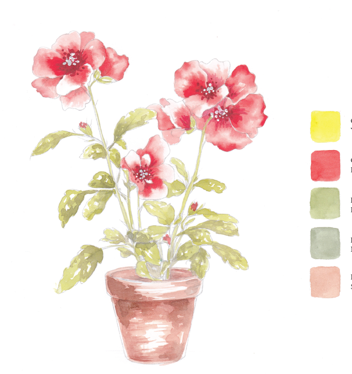 willowwolfe - Wholesale Sketchbook/sketchpad - Blooms & Bouquets Watercolor Workbook by Willow Wolfe8